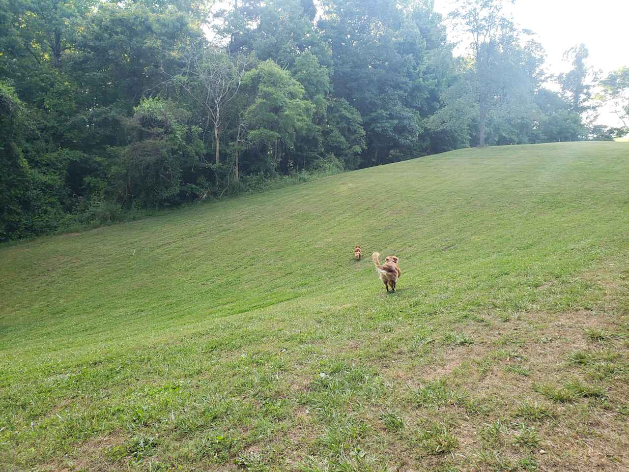 Mountain View Acres