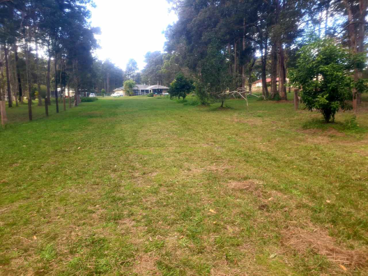 Paradise in Verges Creek