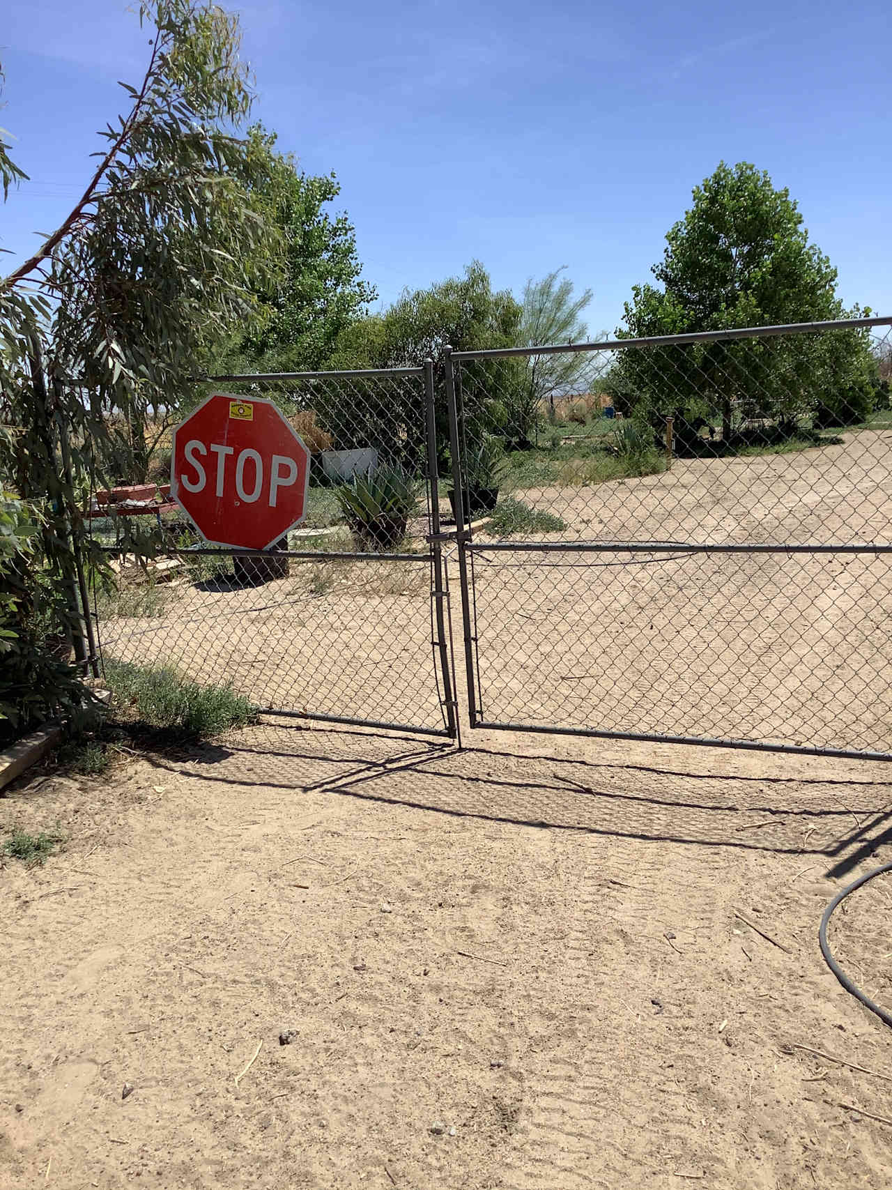 Toni C.’s Land