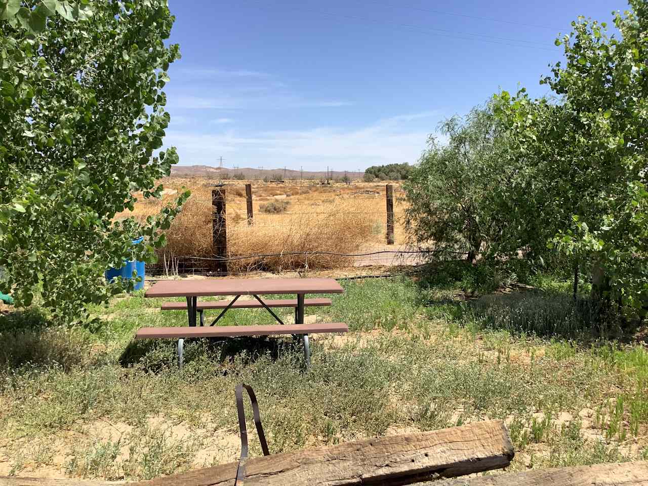 Toni C.’s Land
