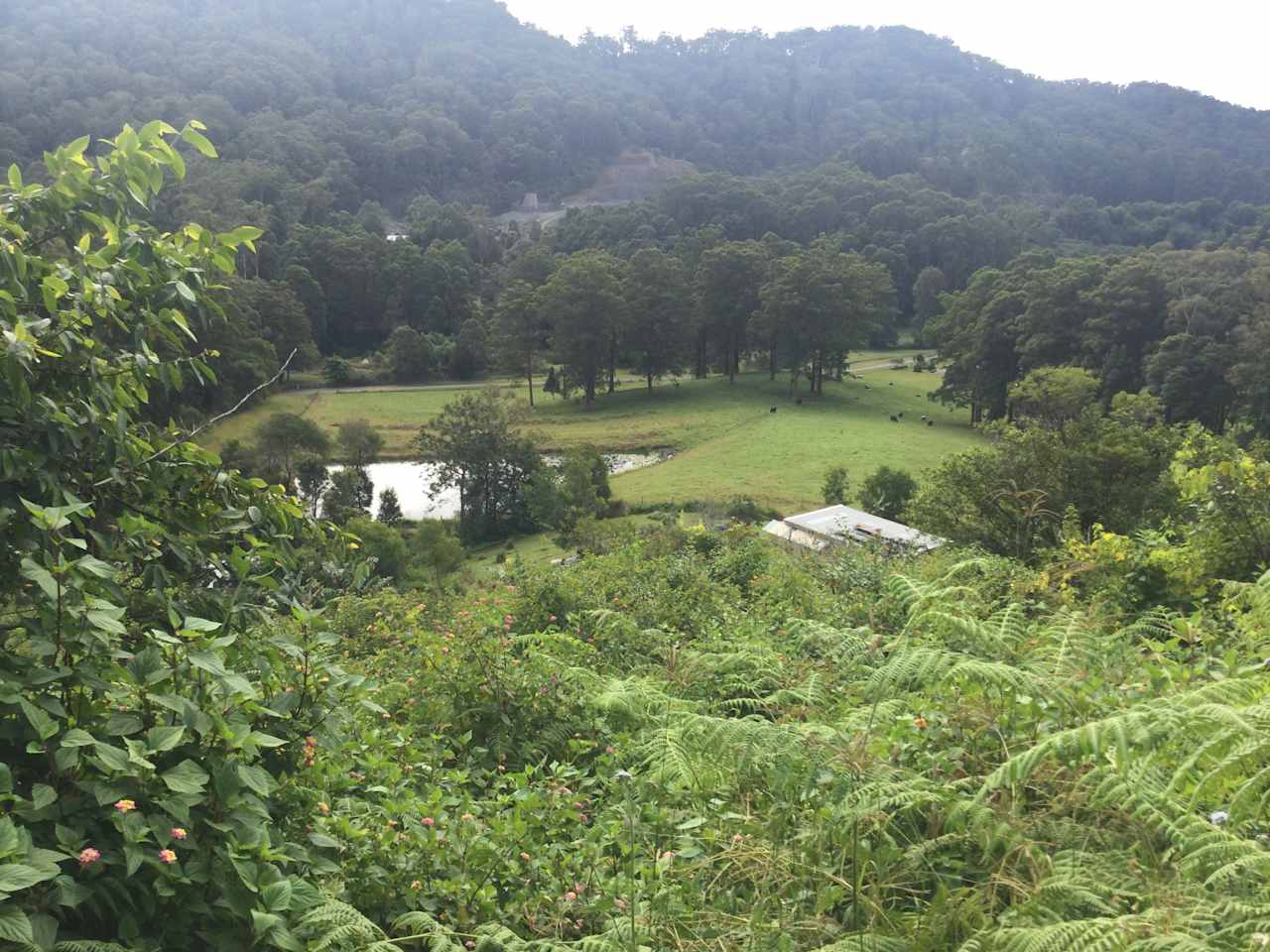 State Forest, Ocean Views