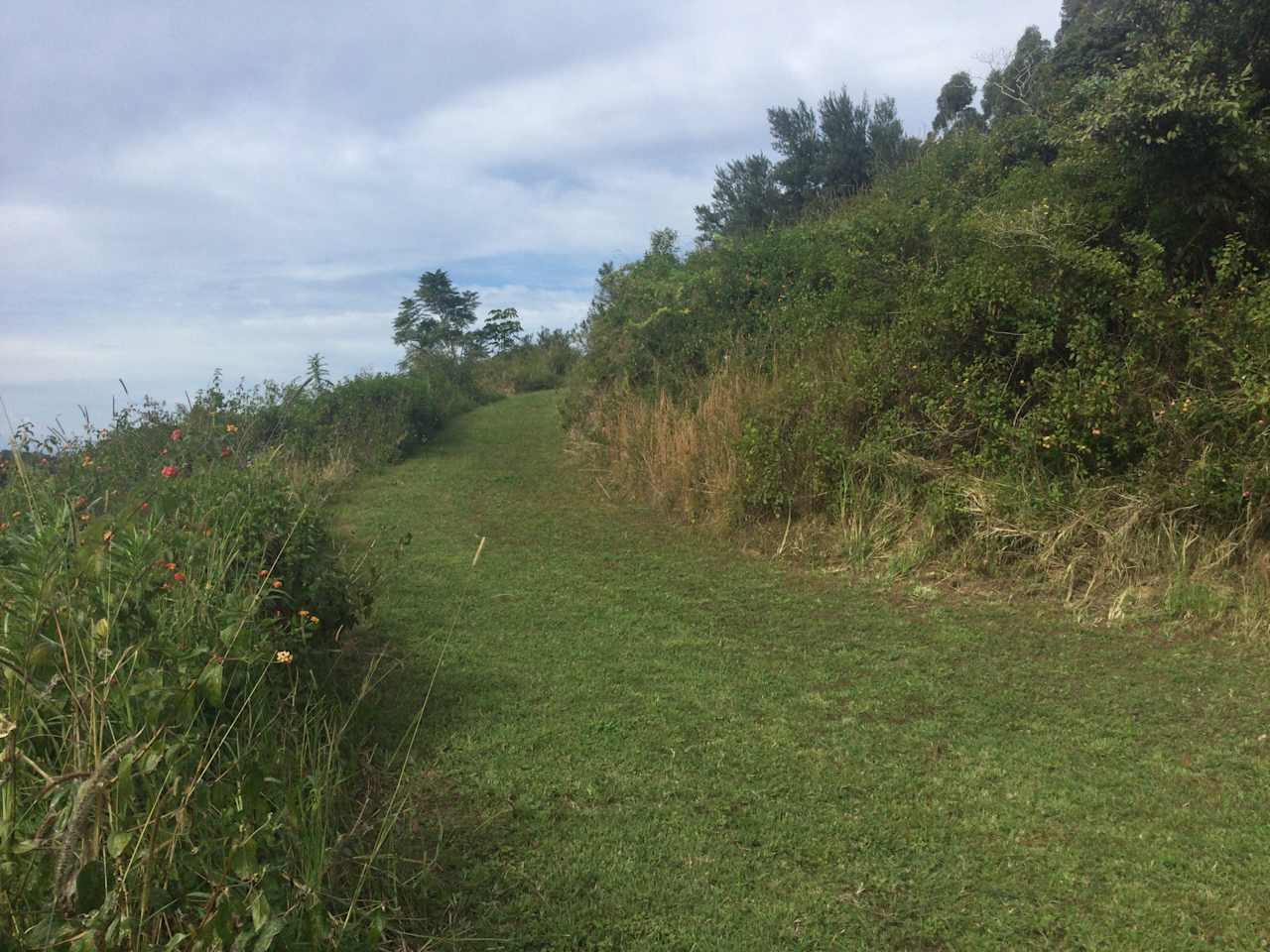 State Forest, Ocean Views
