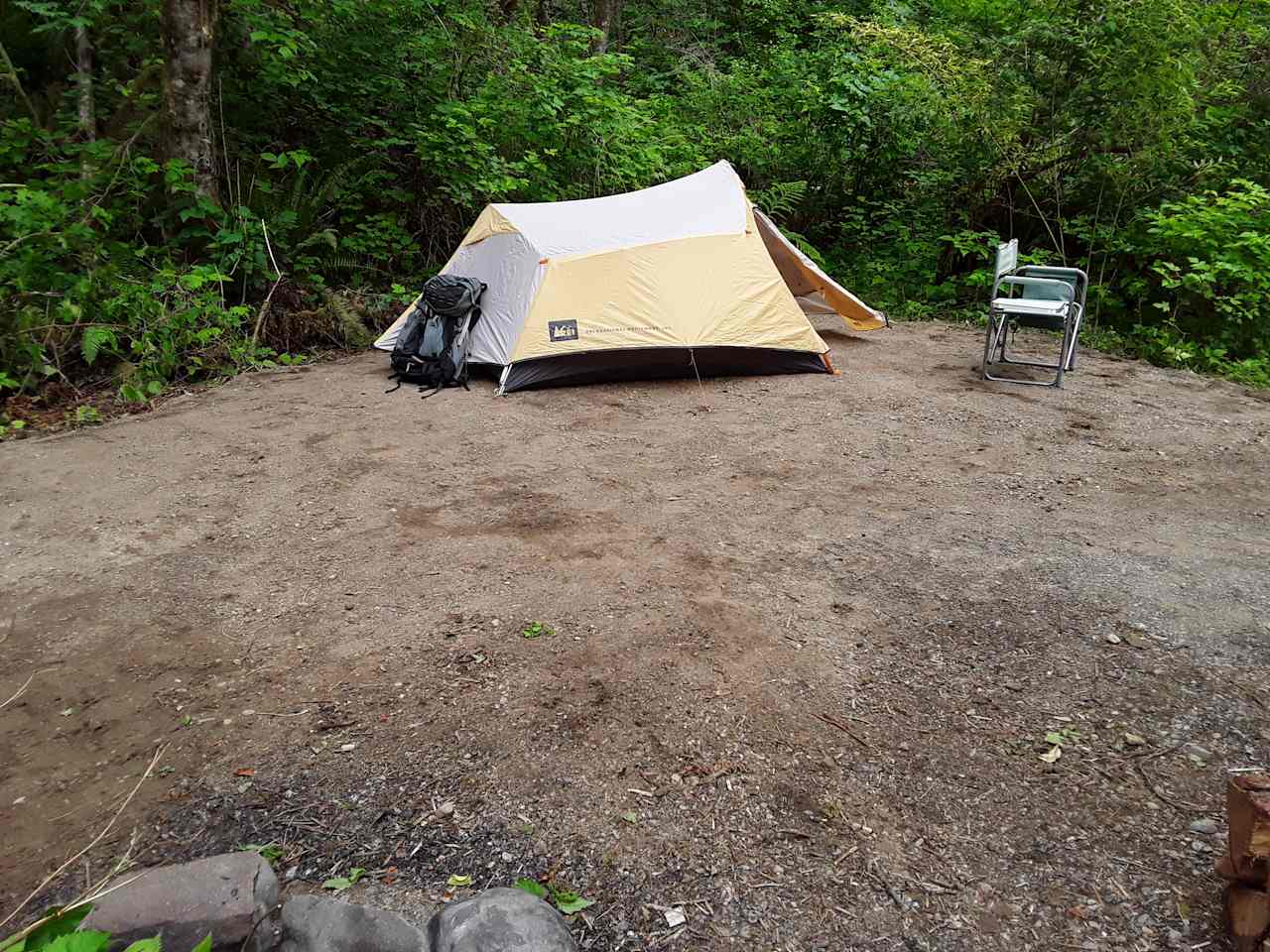 Camping in forest, next to a creek.