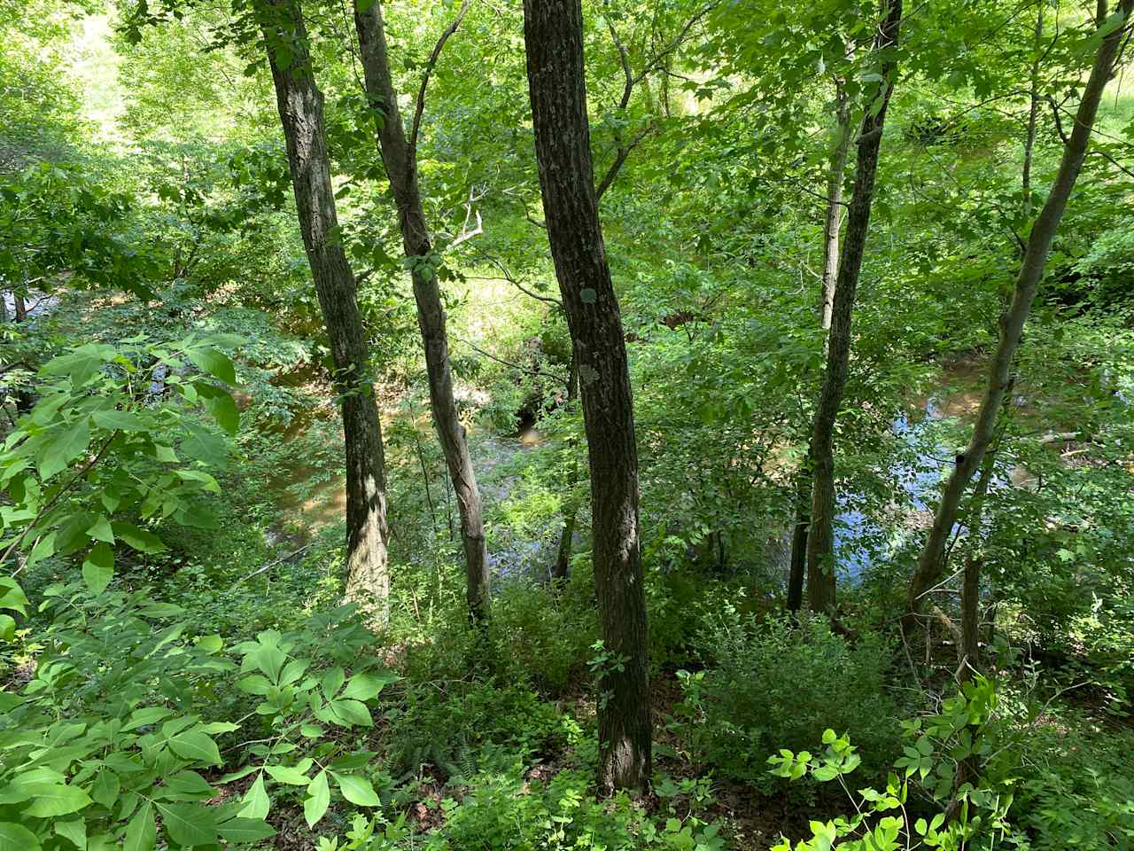View from the deck