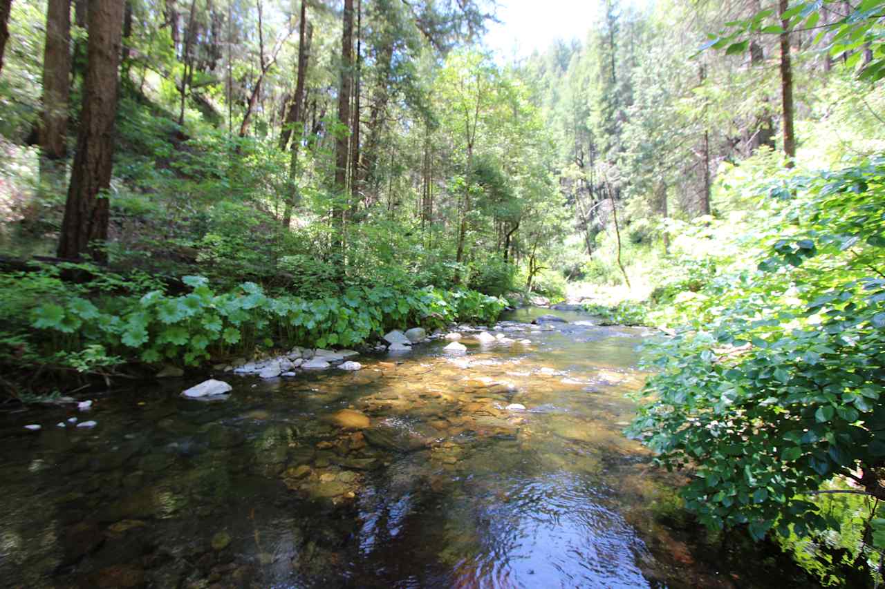 Drop down into the bottom of the canyon where the air is cool and Slab Creek runs year-round