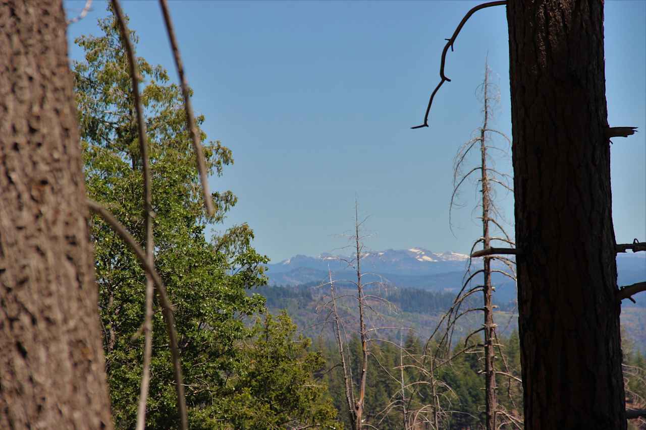 Sierra Mountain views from the property.