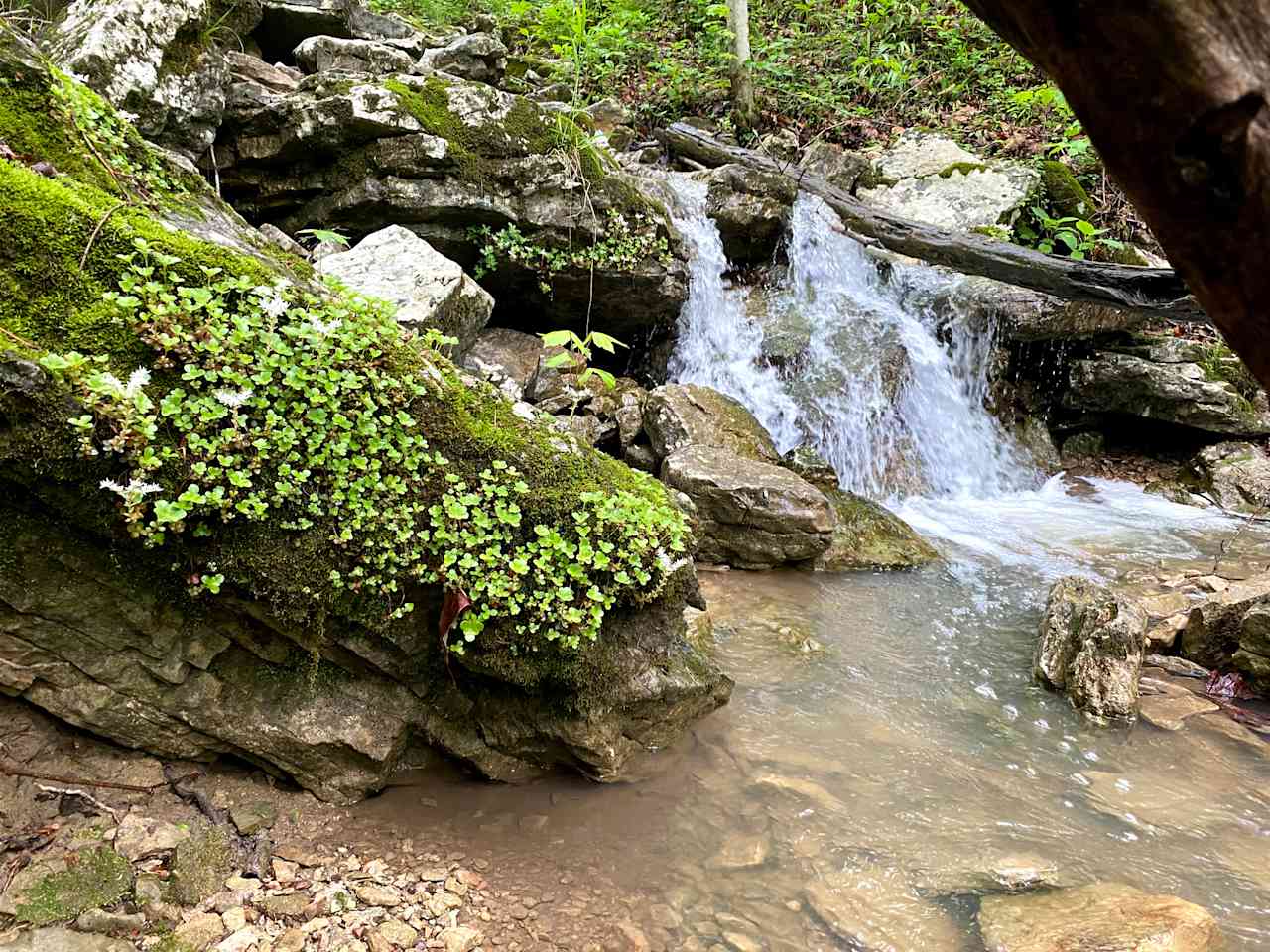 Bottom of the falls campsite is just feet from the stream with all of the falls!