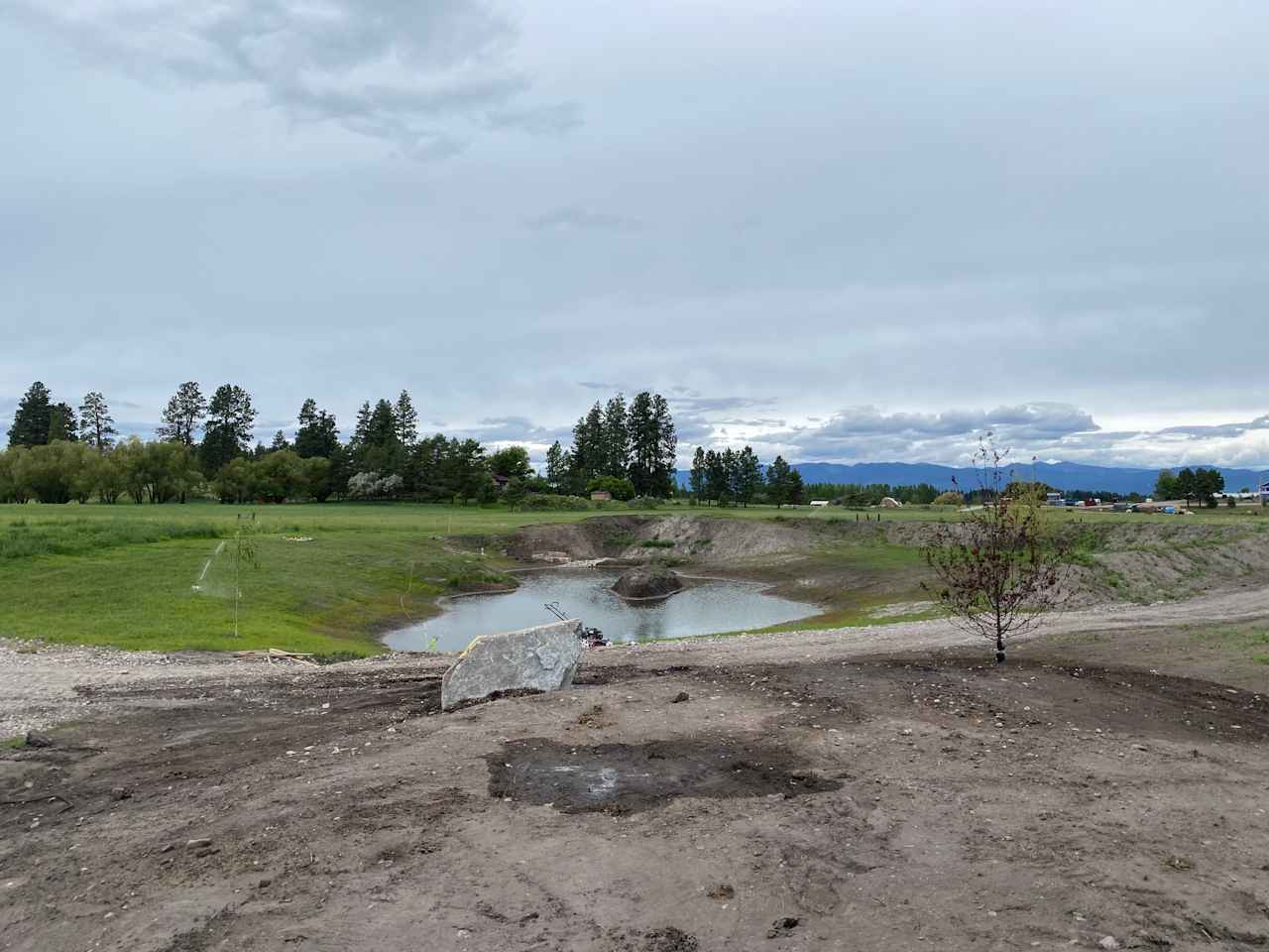 Field with Mountain View’s