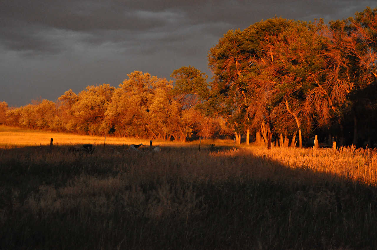Cowtown Ranch