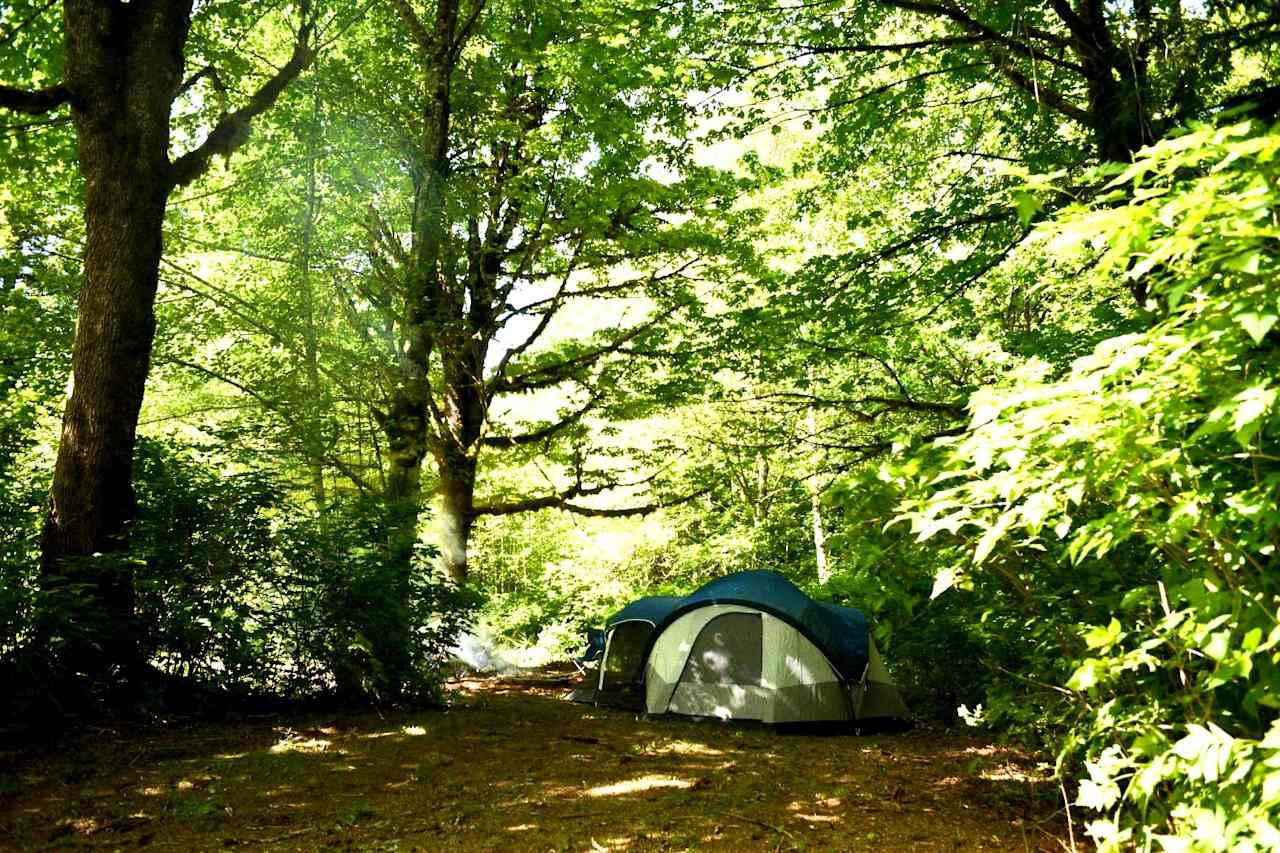 Group site (#2)