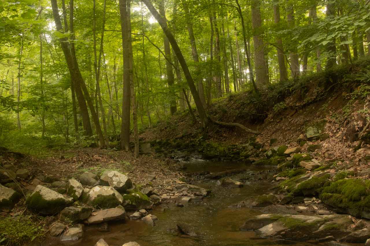Creek behind Campsite A