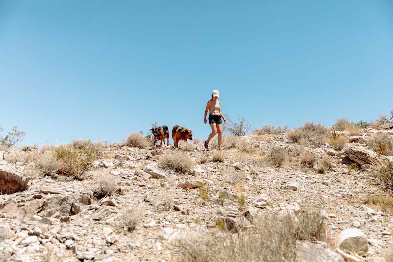 There is a lot to see and explore. There is a flat dry lake that you can ride on or use for the sport of rocketry. 