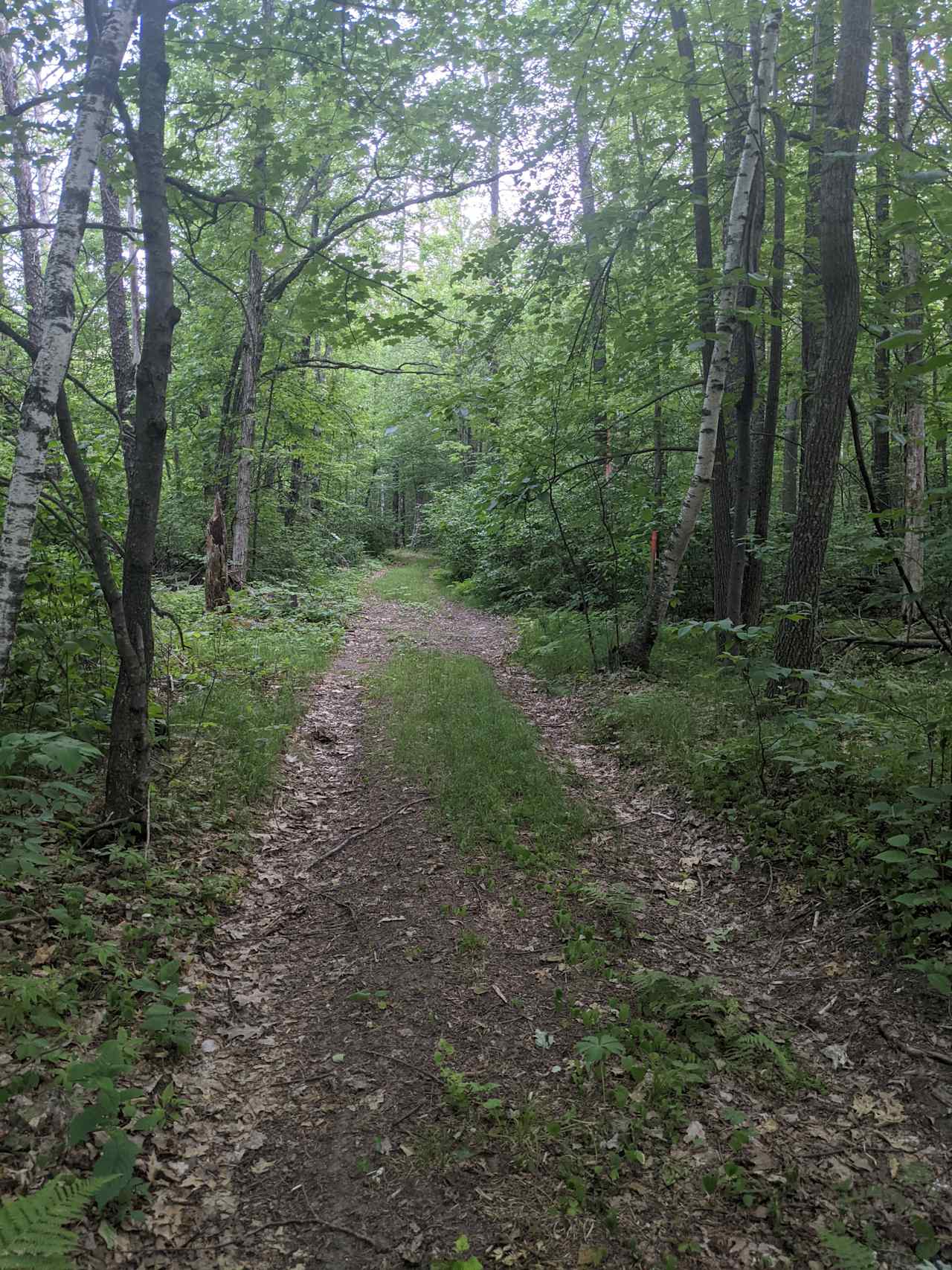 Cuyuna/Mississippi River Land