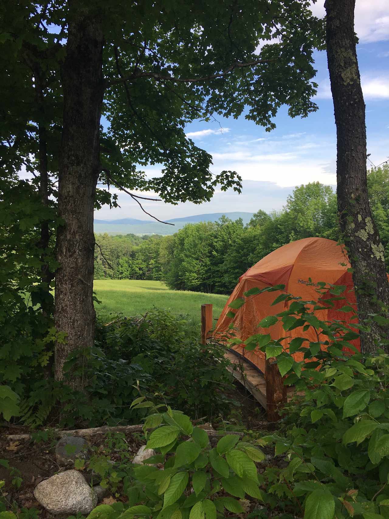 Amanda and Ben's Homestead