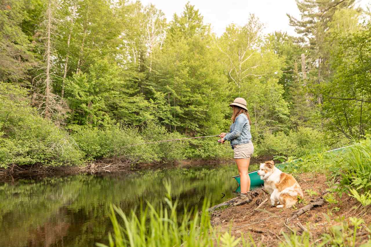 Fishing the Bad River