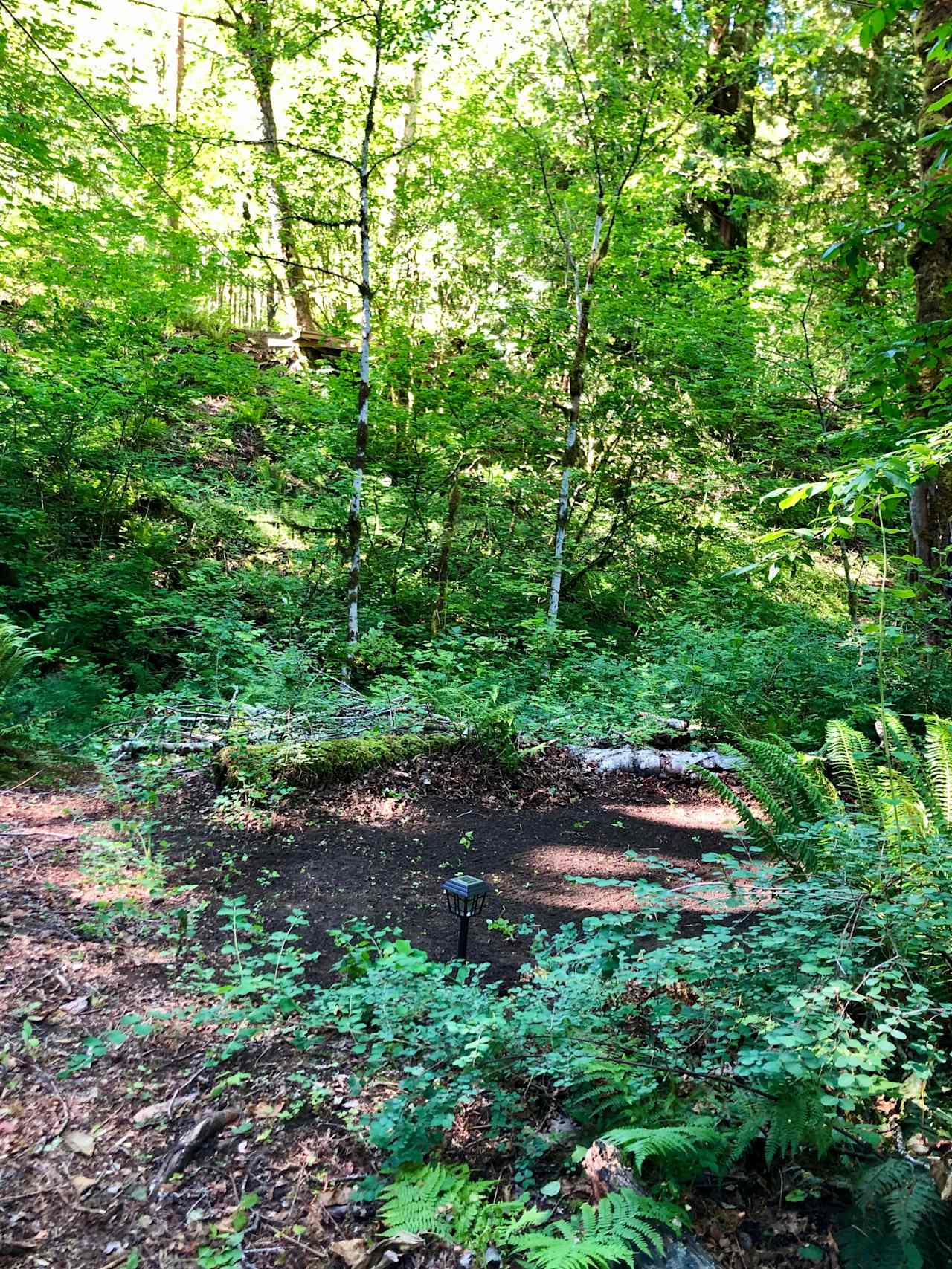 Campsite #1