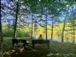 Private Hardwood forest river camp