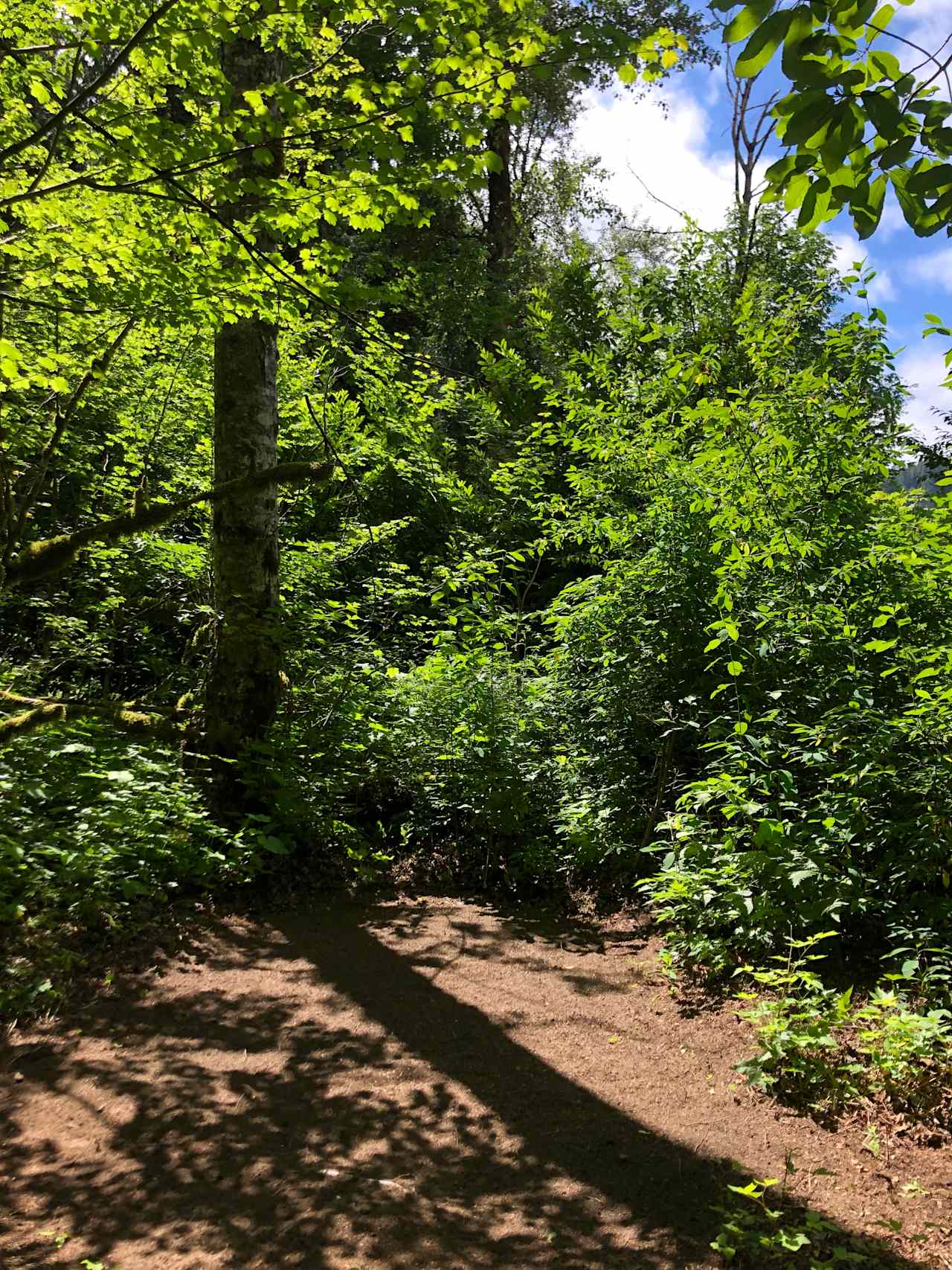 Brenda G.’s Land
