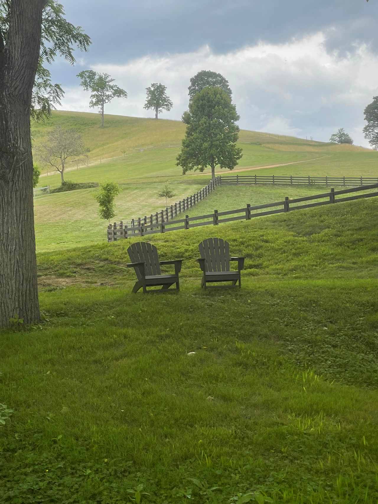 Smoky Mtn Mangalitsa River Ranch
