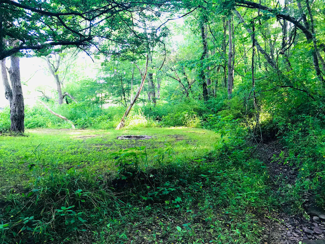 Campsite #1.