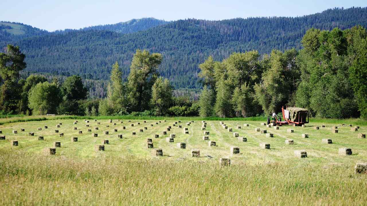Looking south from the site as the field is full of freshly baled hay.