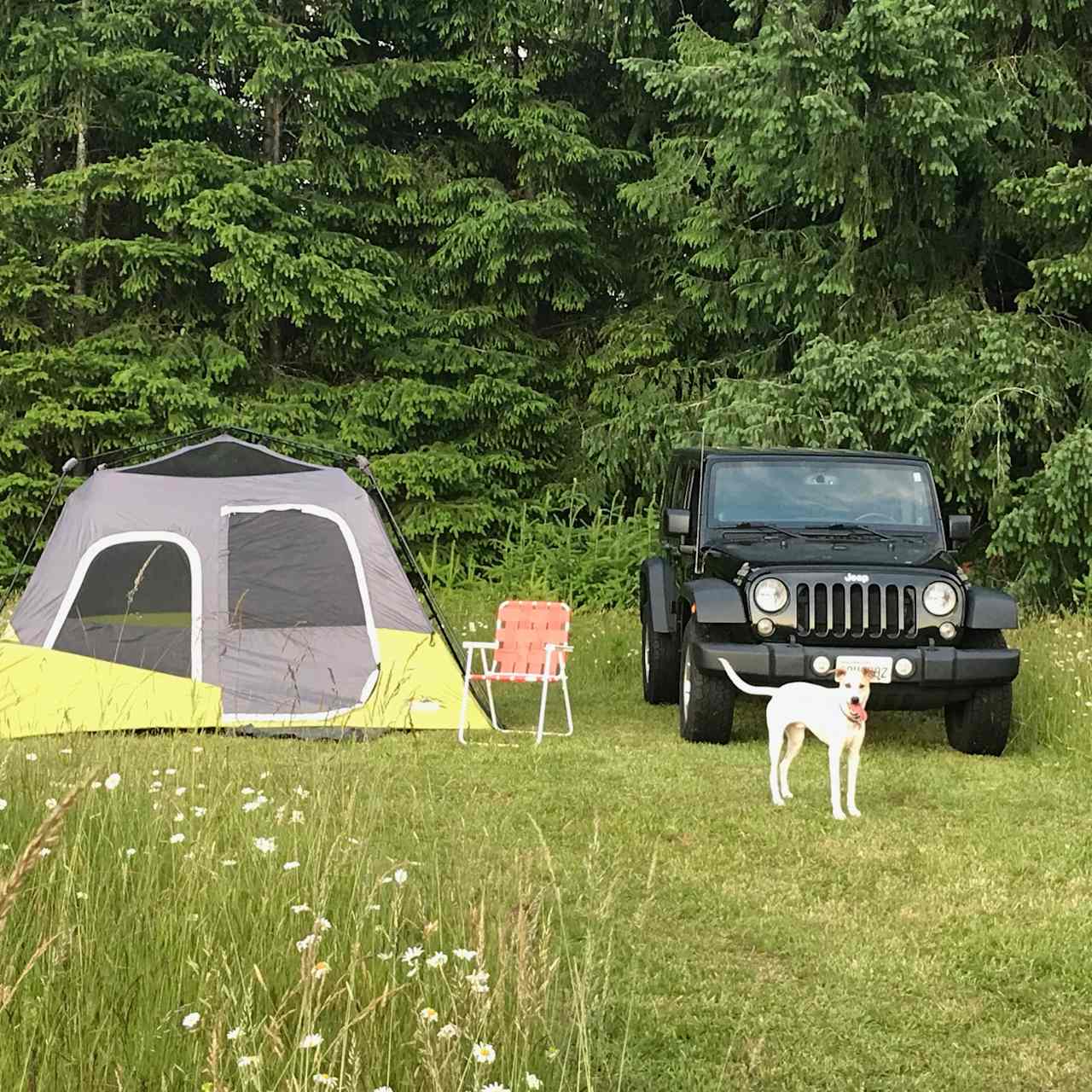 Nico posing to show you your potential campsite!