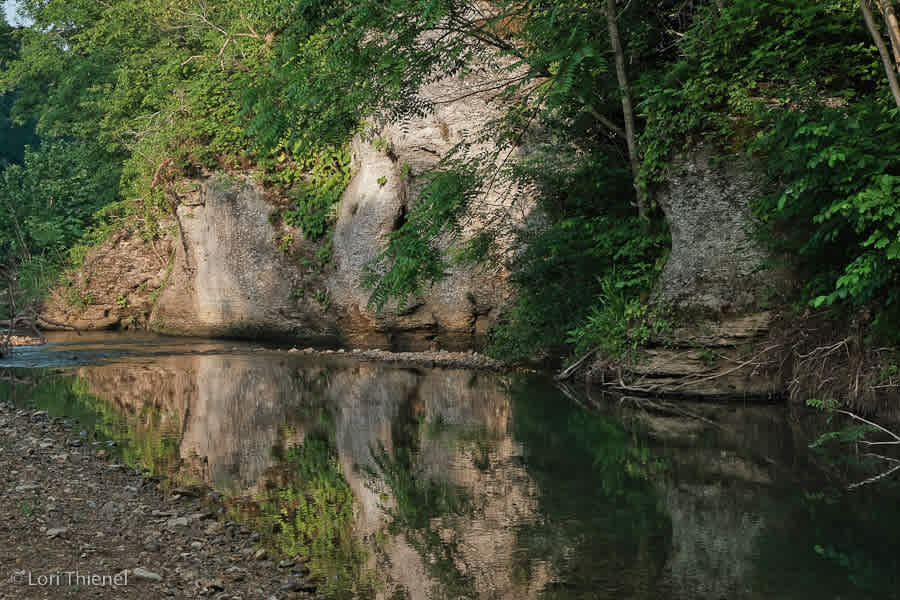 Fox Field Farms Creekside Camping