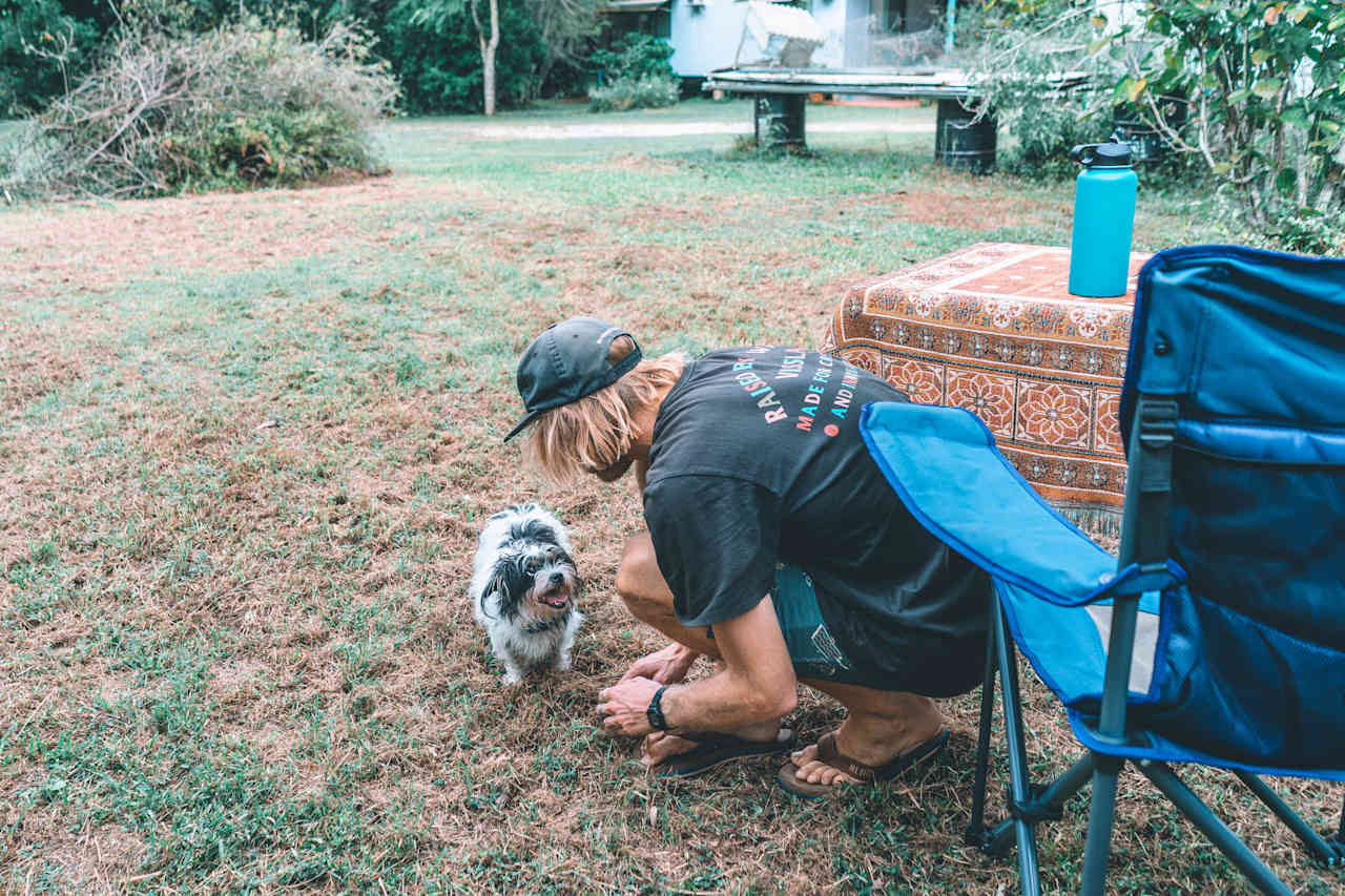 The friendly little pup April