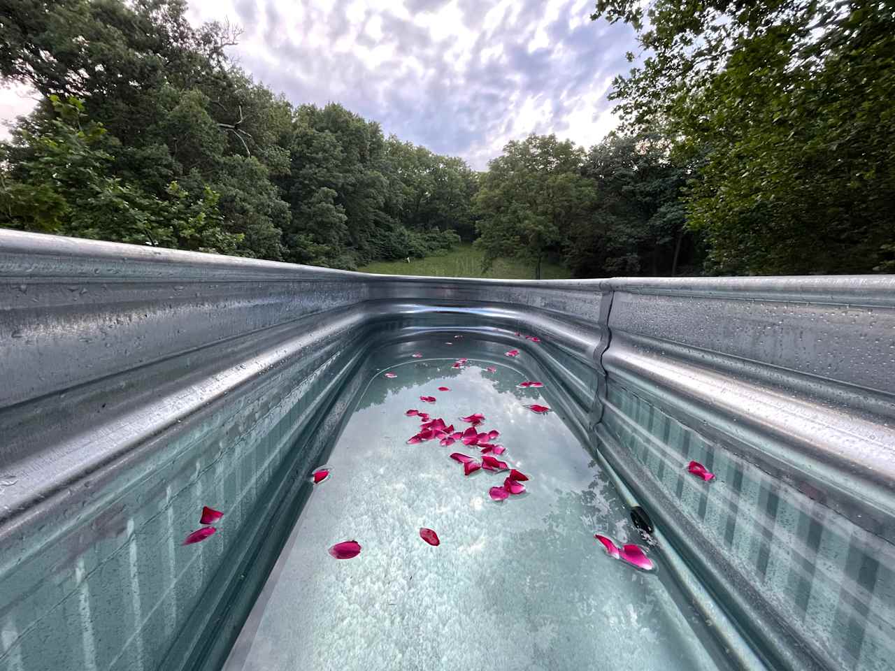 Forest Retreat & Spa