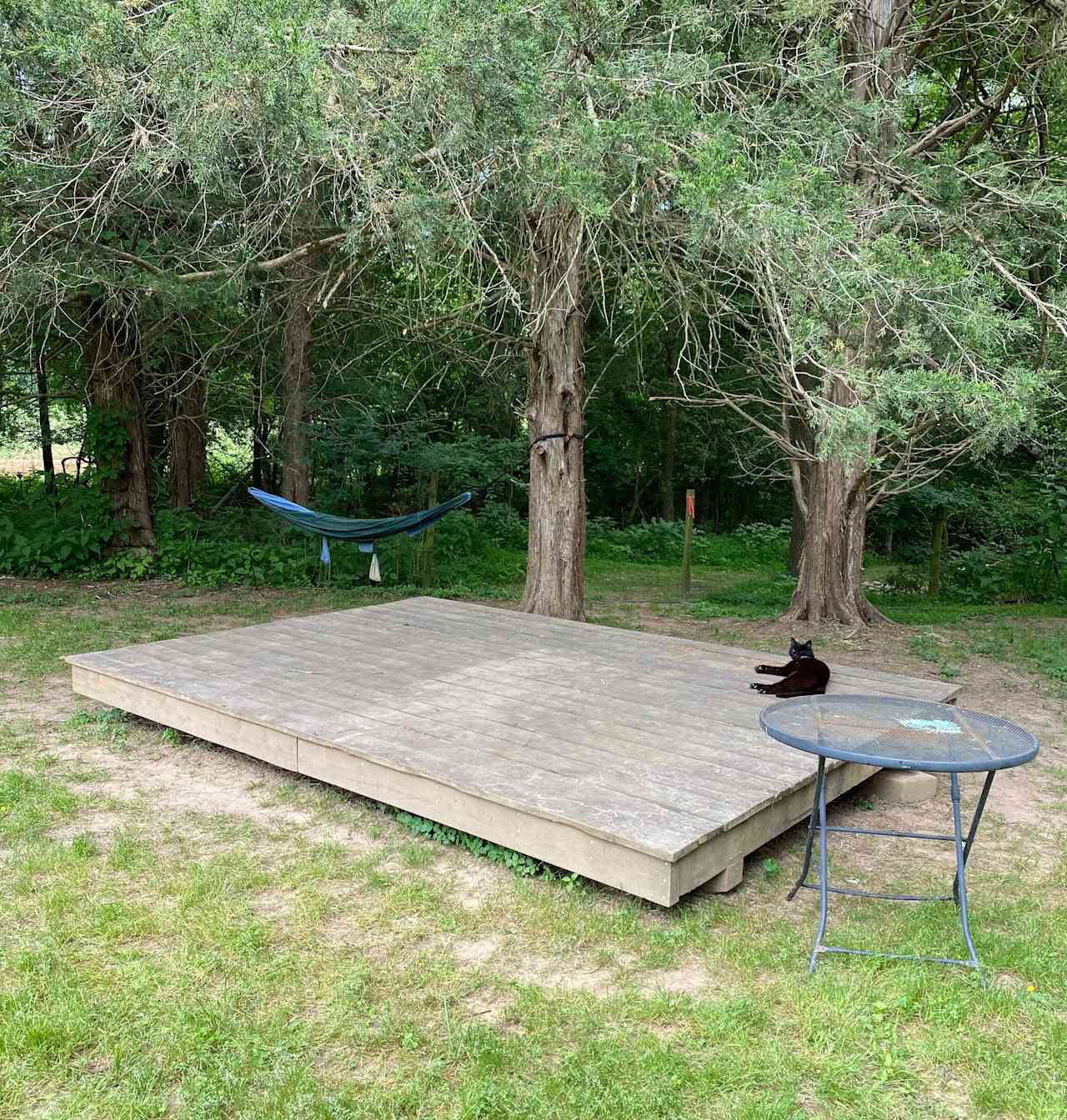 Cane Creek Camping Platform #2