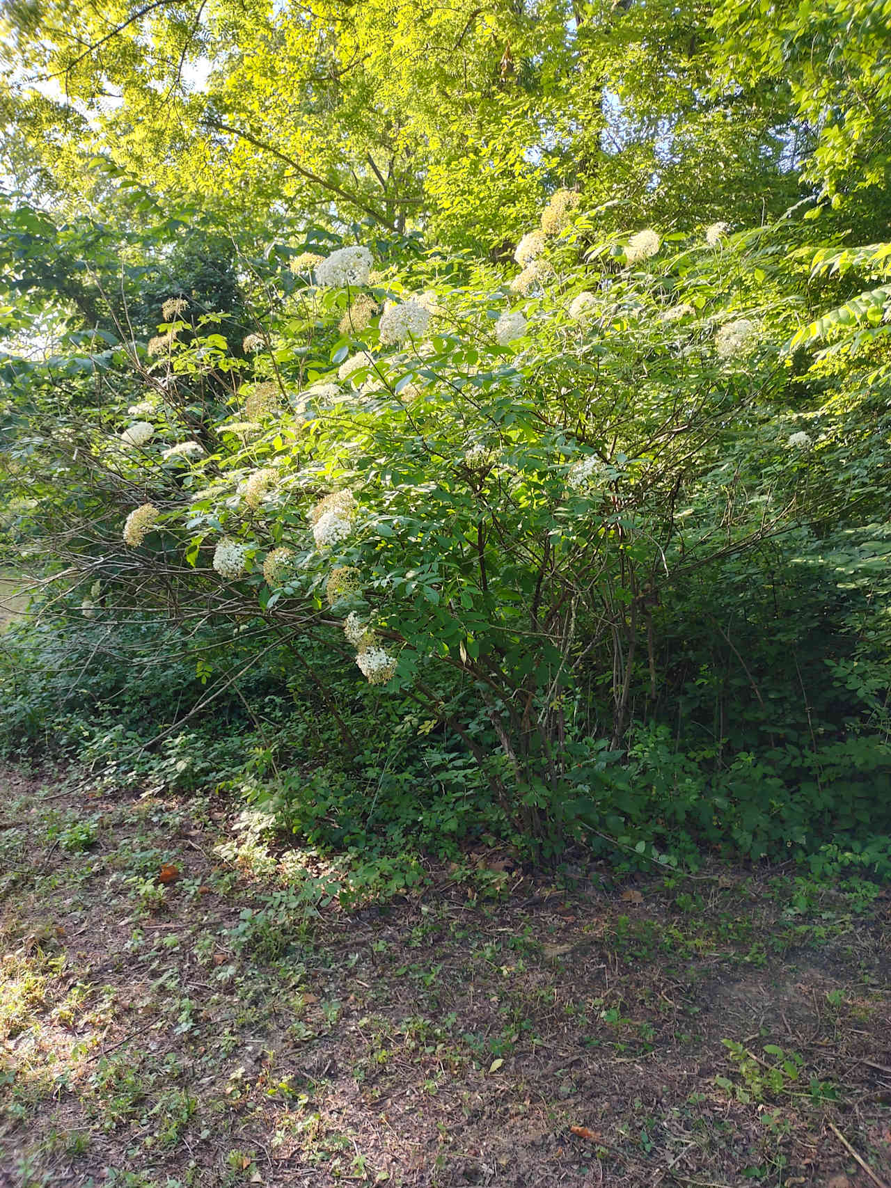 Fairhaven Farm Campground