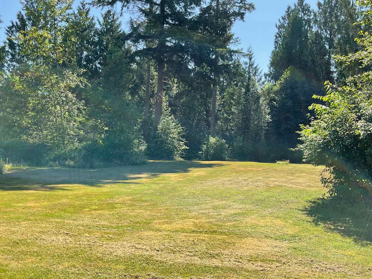 Private setting under tall trees