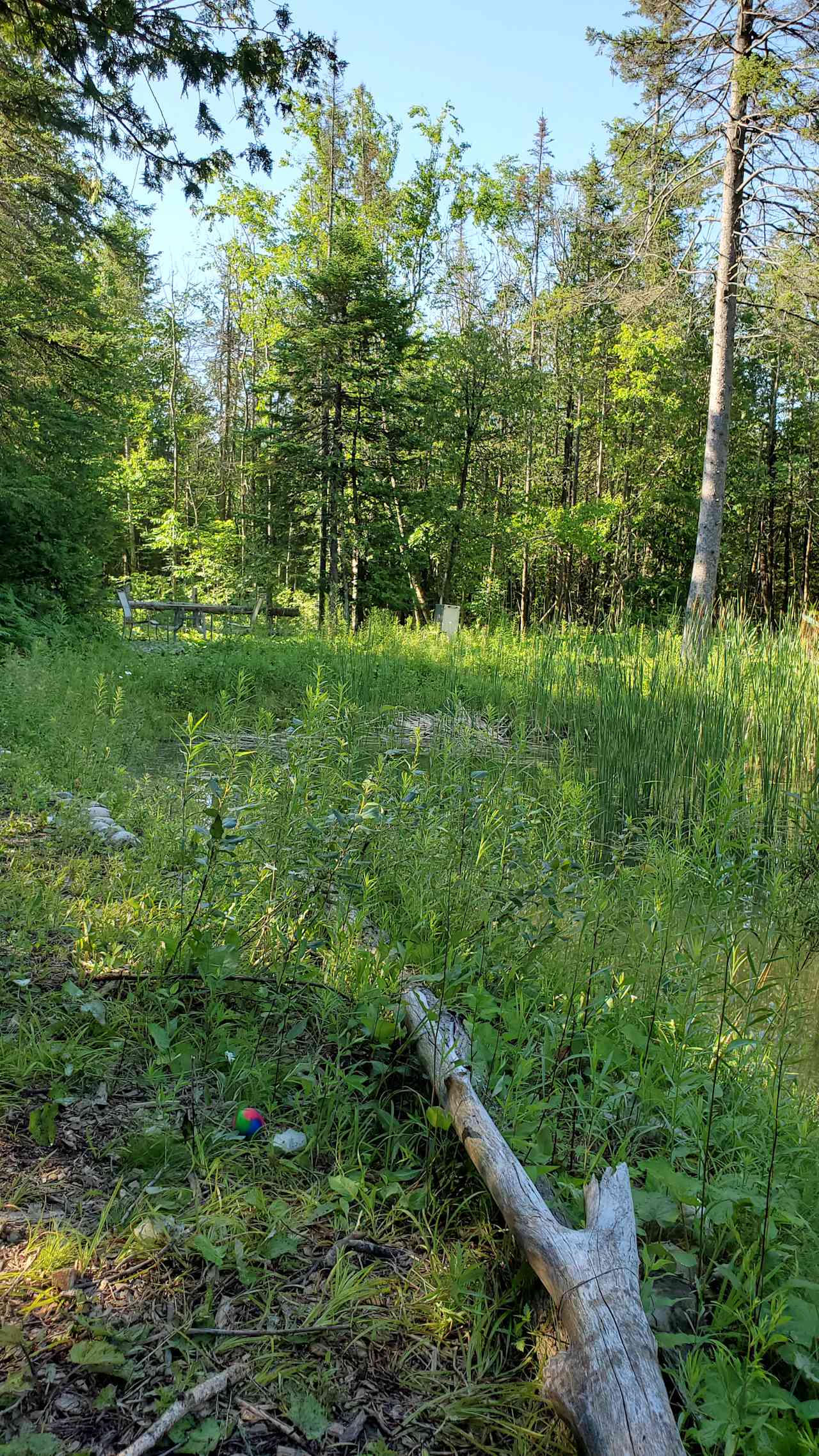A little over grown - not like photos shown on hipcamp site