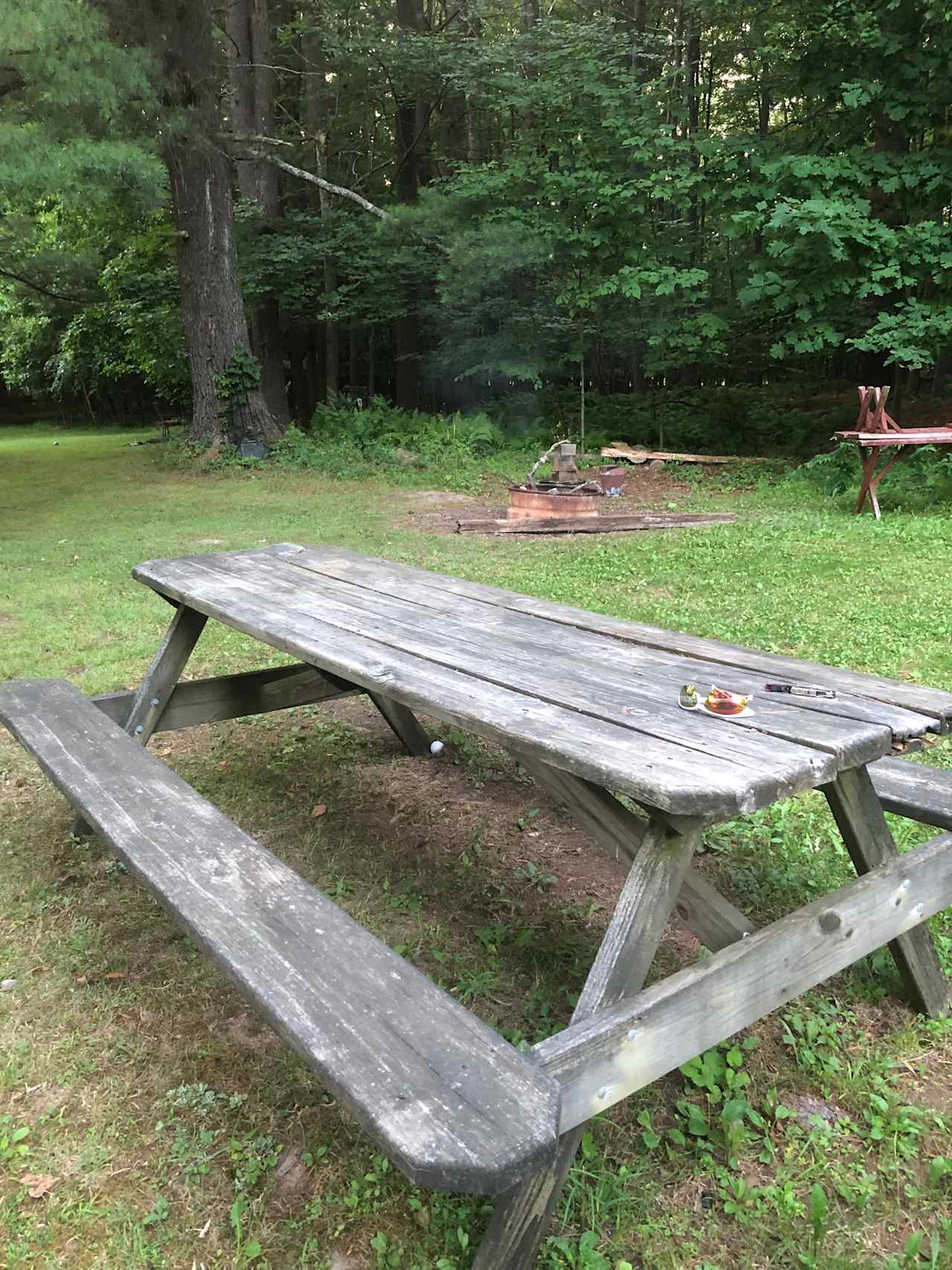 Forest or field camping