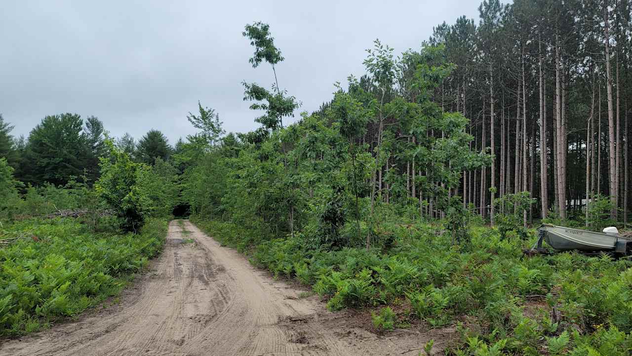 RECOVERY RD
