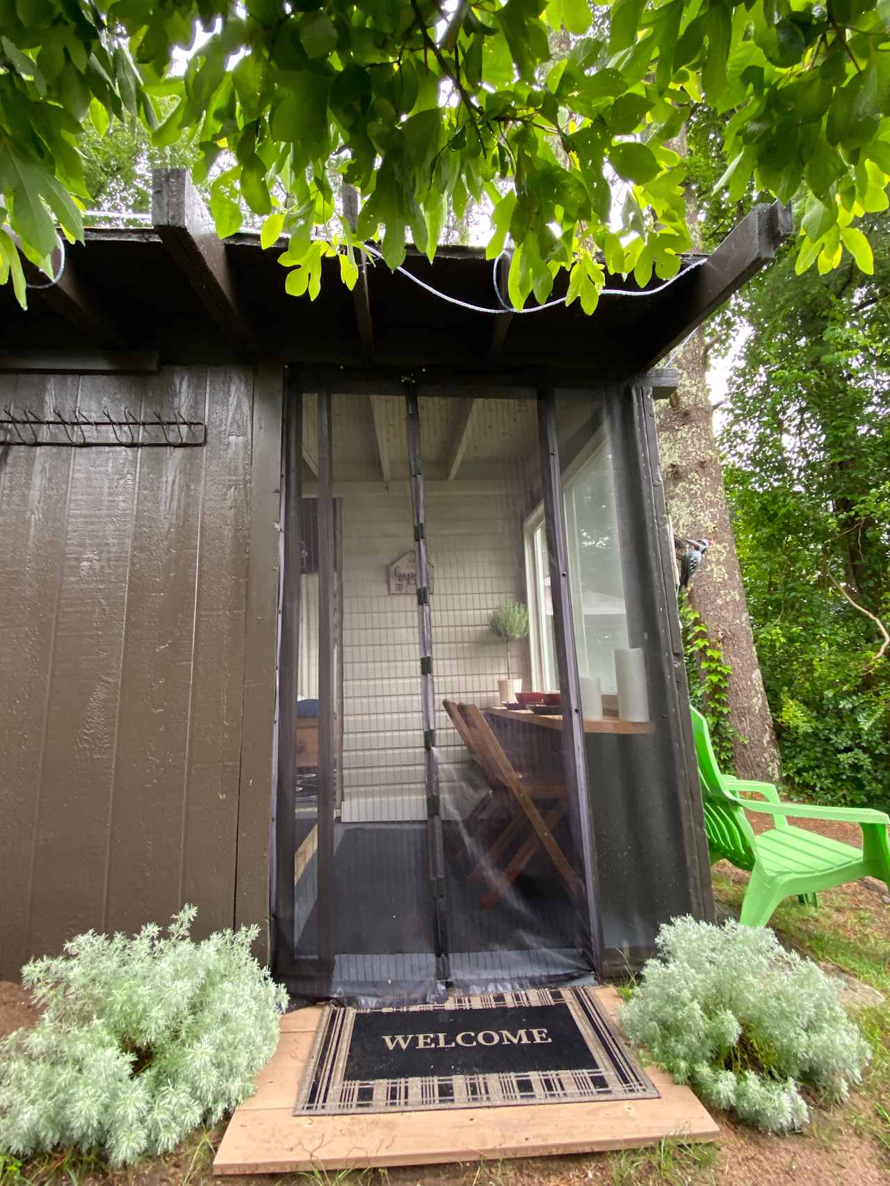 Waterfront cabin 10minutes Cape Cod