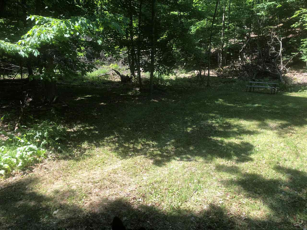 Roger  D.’s Land