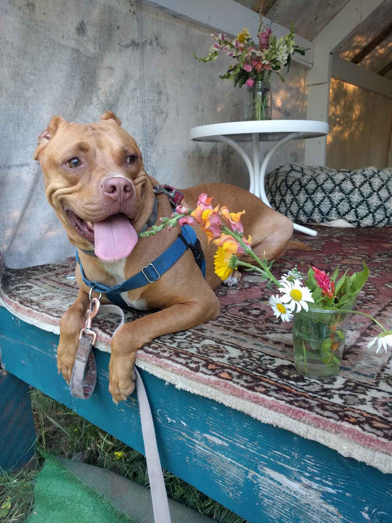 Enjoying the platform