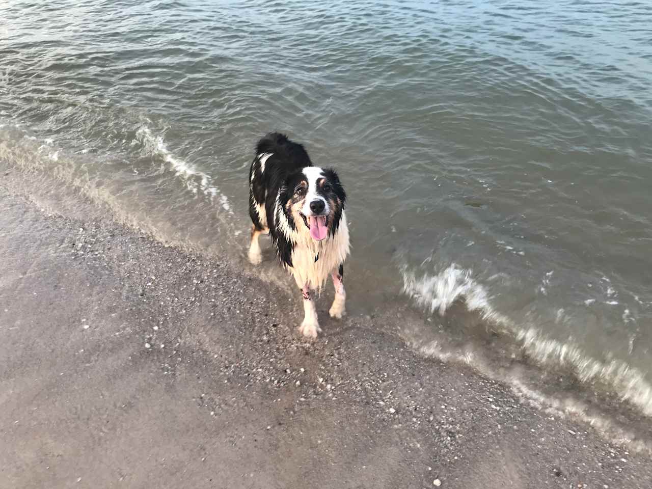 Such a happy girl