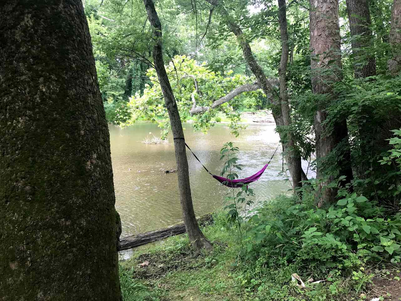 View of river from campsite