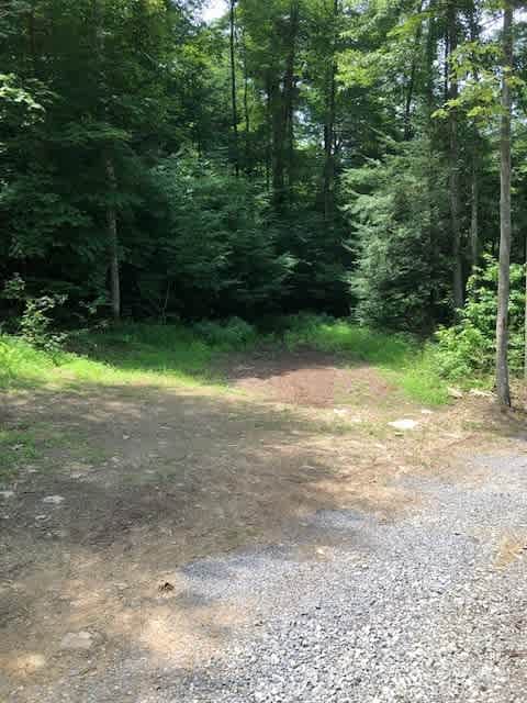 Camp Holly