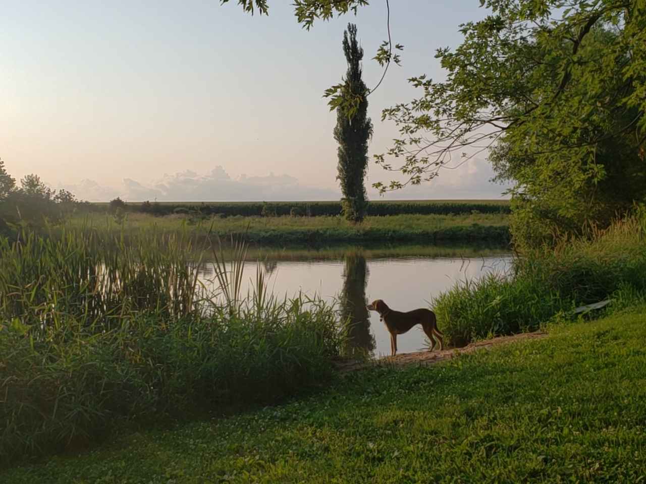 Walking Stick Adventures Tipi Camp
