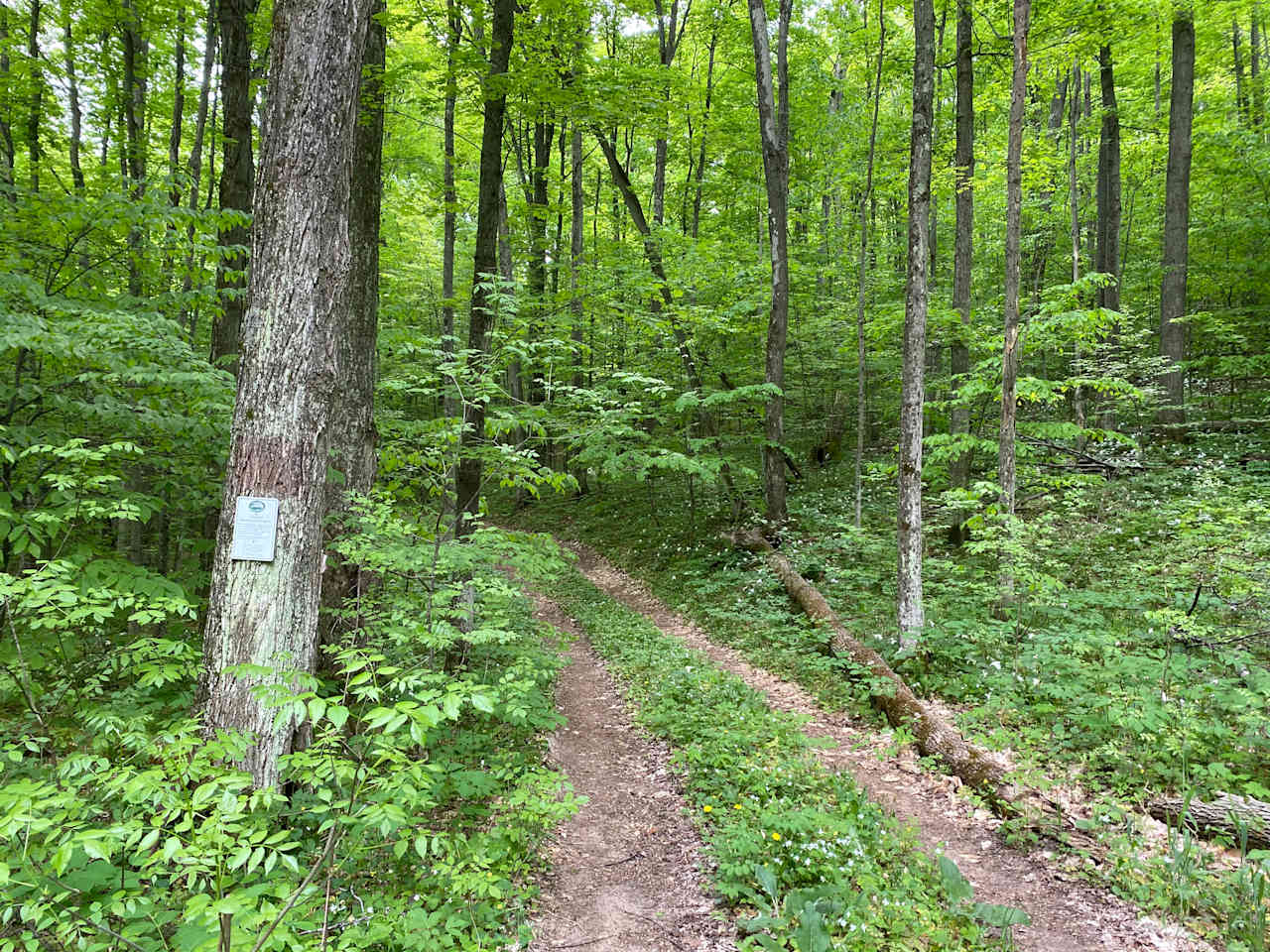 The road up to the camp site with "Conservation Property" sign on the tree on the left. 