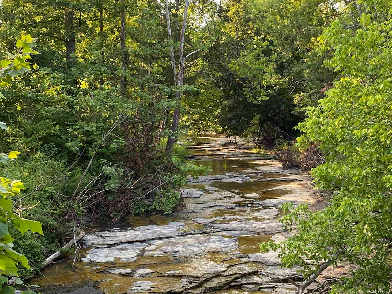 Red Haven Farm Rustic Camping
