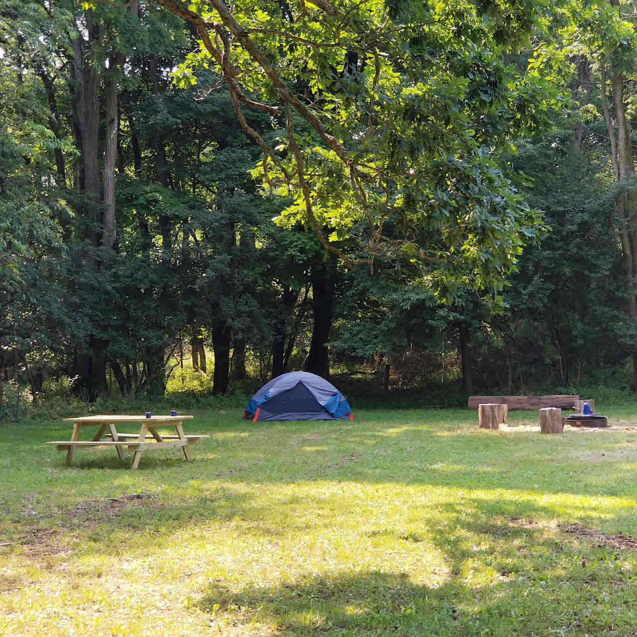 Apple Blossom Camp