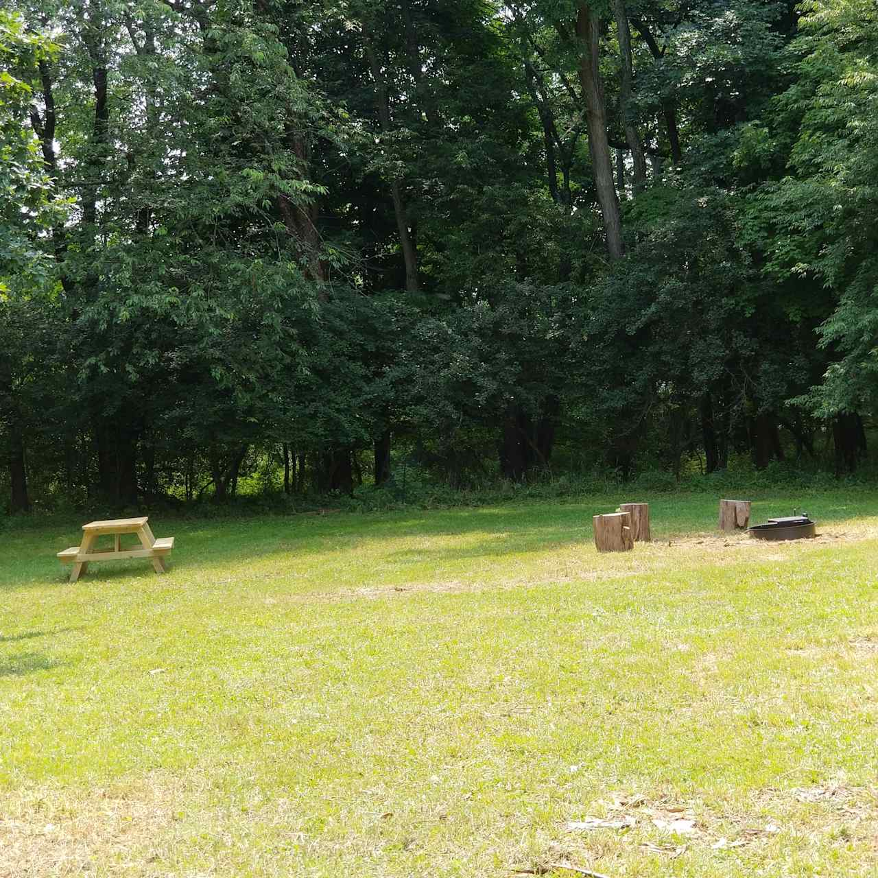 Apple Blossom Camp