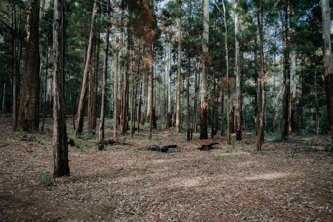 A look at the campsite