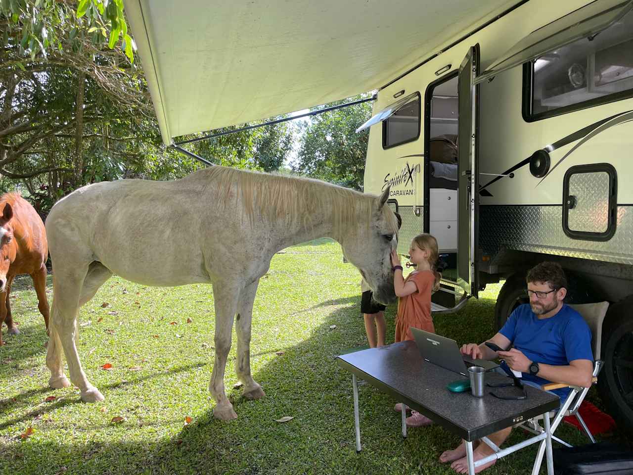 Pamona Park, nr Gordonvale