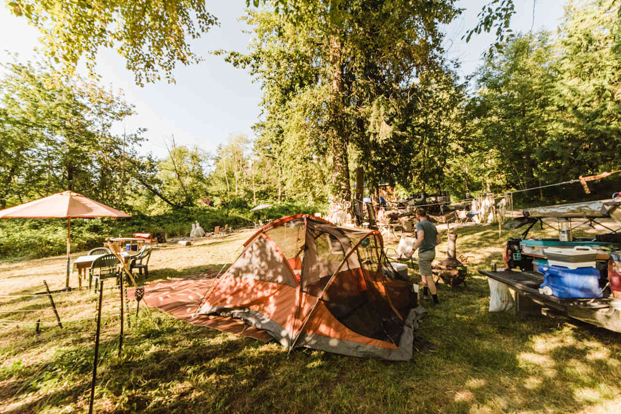 Carries Creatures Camping