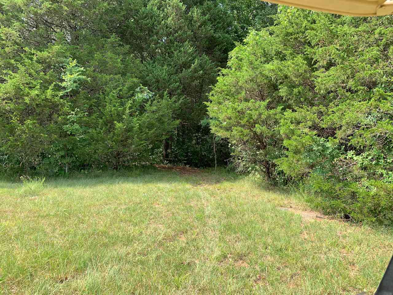 Nooks in tree line site 2